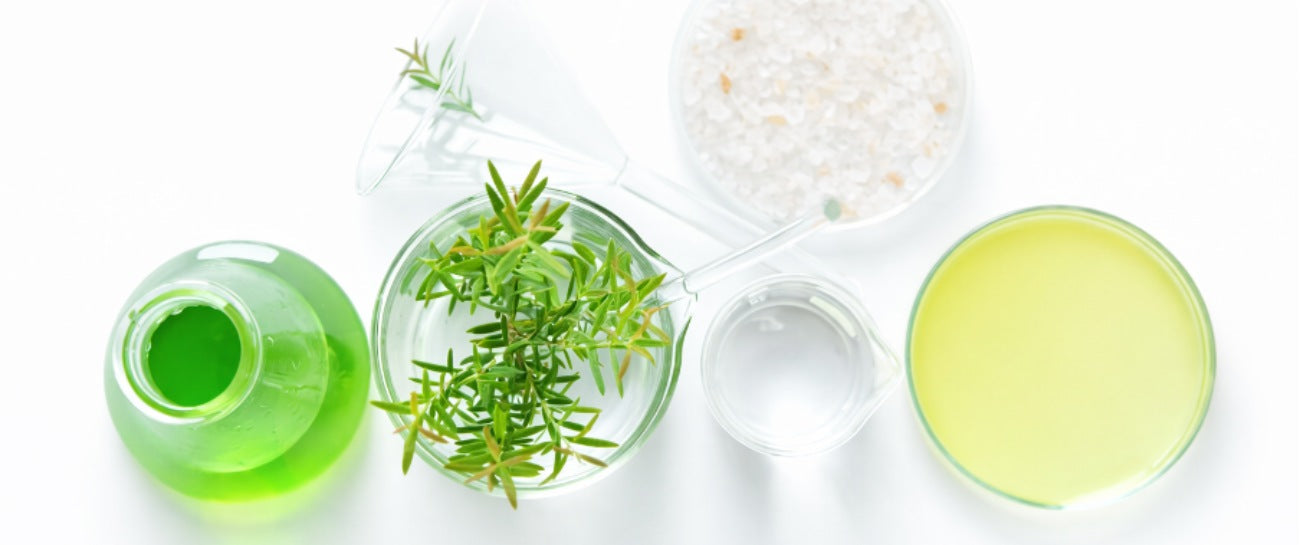Why Botanical Extracts Still Matter in Modern Skincare