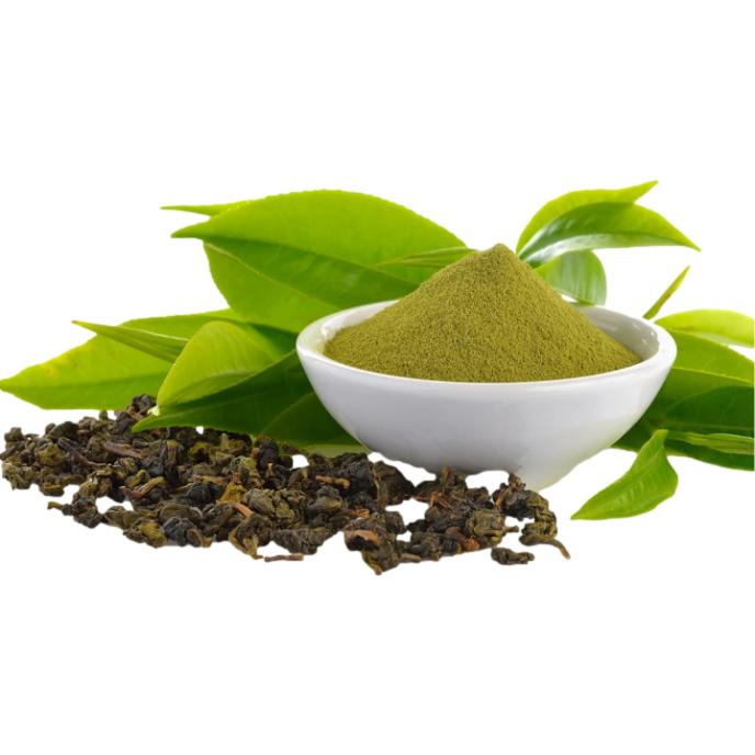 Green Tea Extract