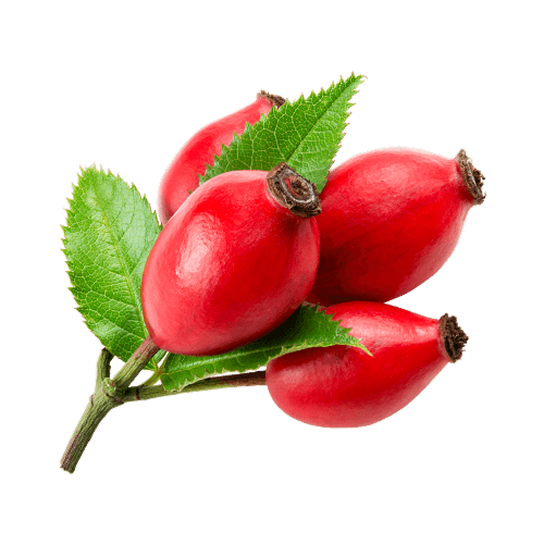 Rosehip Oil