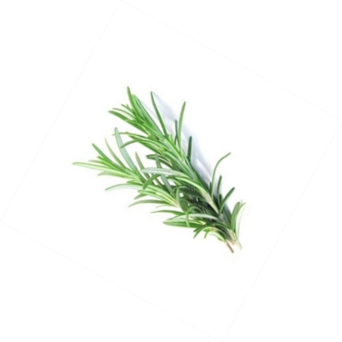Rosemary Leaf Extract