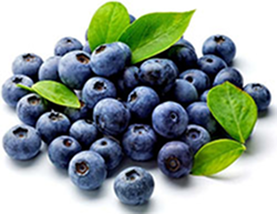 Vaccinium Myrtillus (Bilberry) Fruit Extract