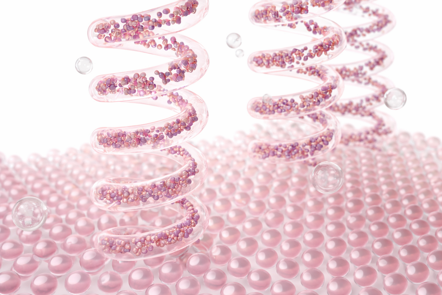 Elastin vs Collagen: What Keeps Skin Firm and Flexible
