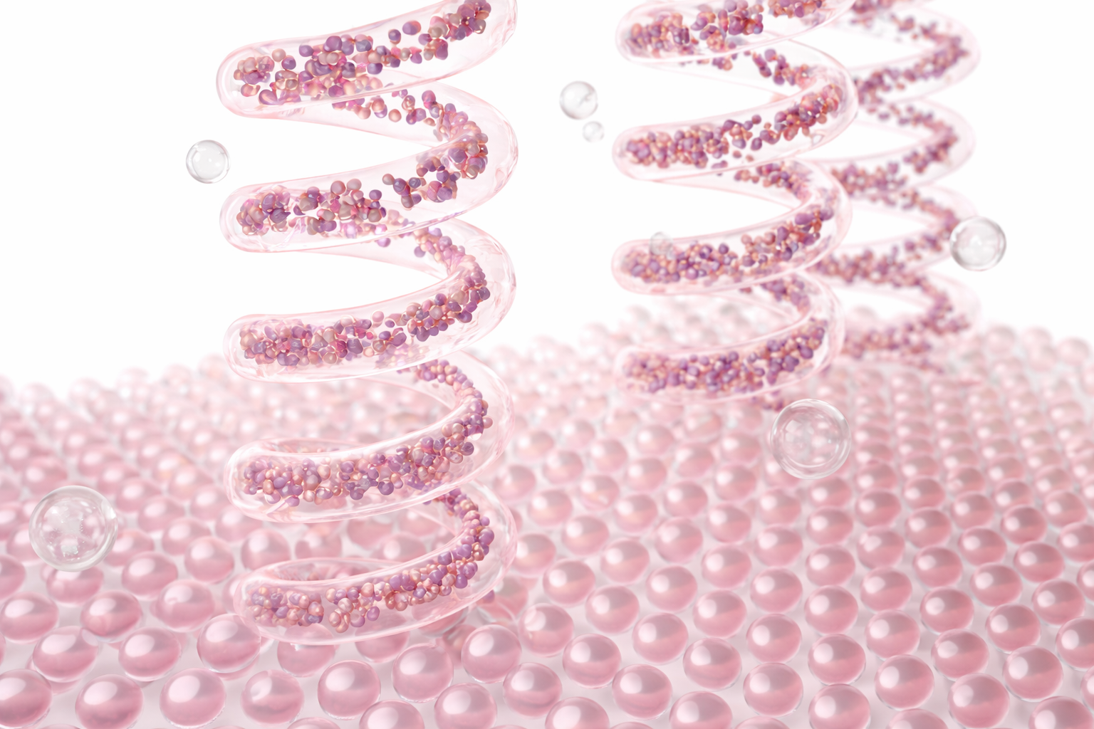 Elastin vs Collagen: What Keeps Skin Firm and Flexible